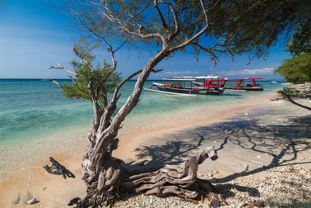 Palmeto Village Gili Trawangan Exterior photo